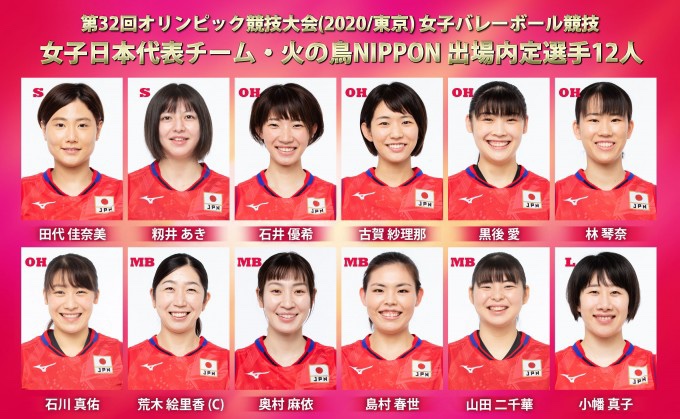 Japan volleyball team