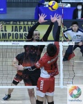 805F0383-23B7-45E2-A4C6-B5424F47F713_结果.JPG