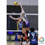 9D545FFA-2EA1-4E1C-8F98-A28C085A7947_结果.JPG