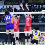 8FE84BC5-46CF-4F26-A9B9-A741927E1EF1_结果.jpg