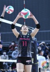 DSC_9279_结果.jpg
