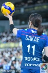 DSC_7486_结果.JPG
