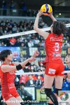 DSC_7883_结果.JPG