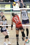DSC_1617_结果.JPG