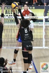 DSC_1963_结果.JPG