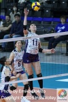DSC_2440_结果.JPG